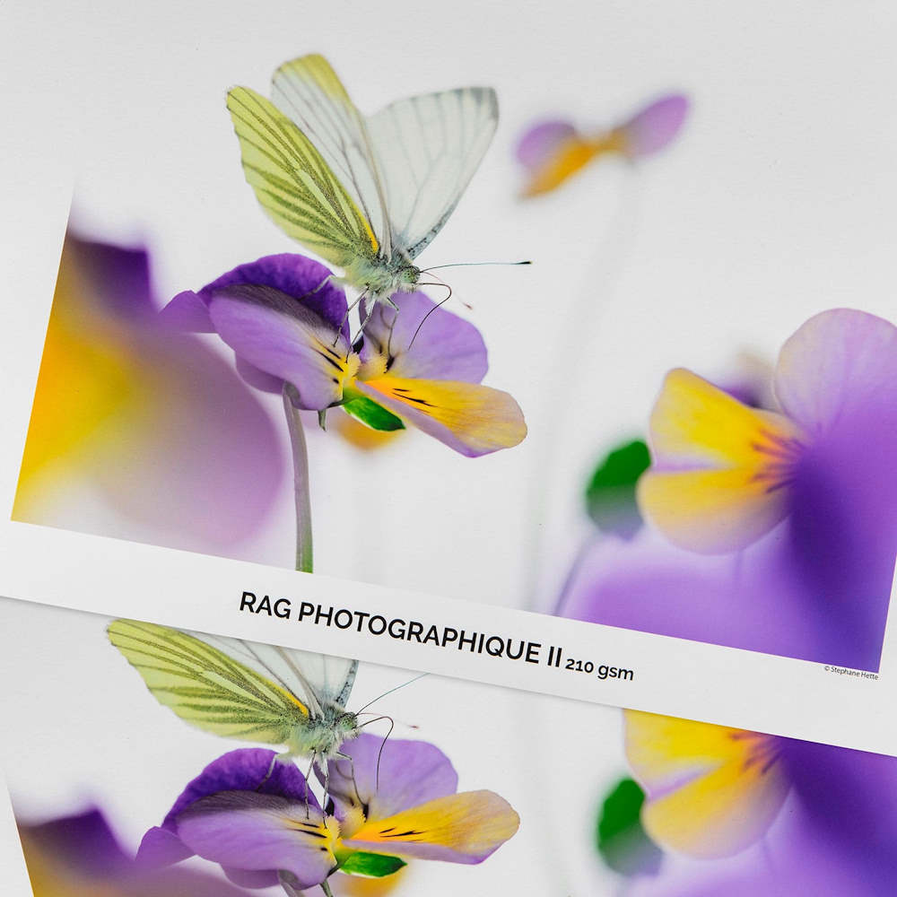 Canson Infinity Rag Photographique II 310 gsm