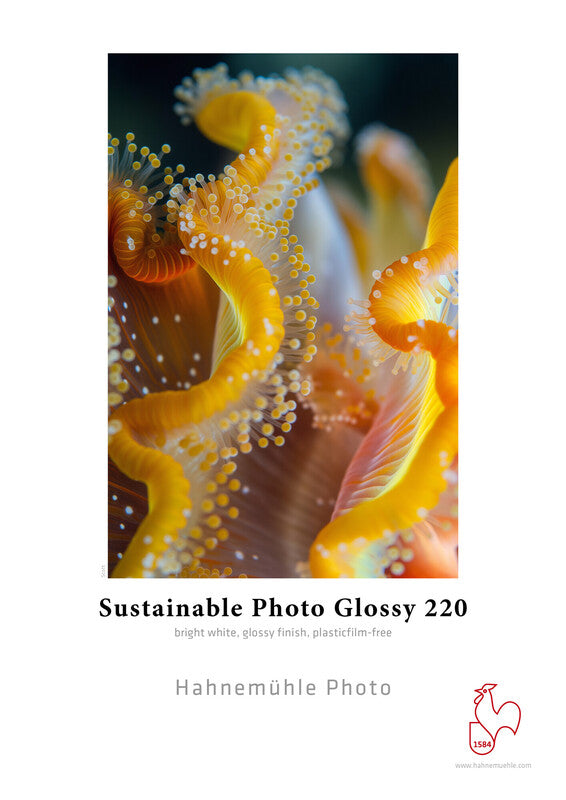 Hahnemühle Sustainable Photo Glossy 220 gsm