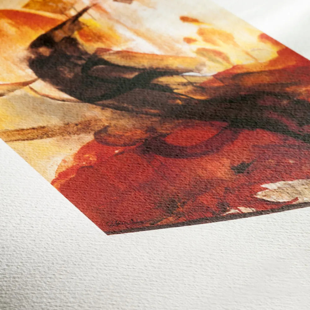 Hahnemühle Sample Pack Matt FineArt Textured