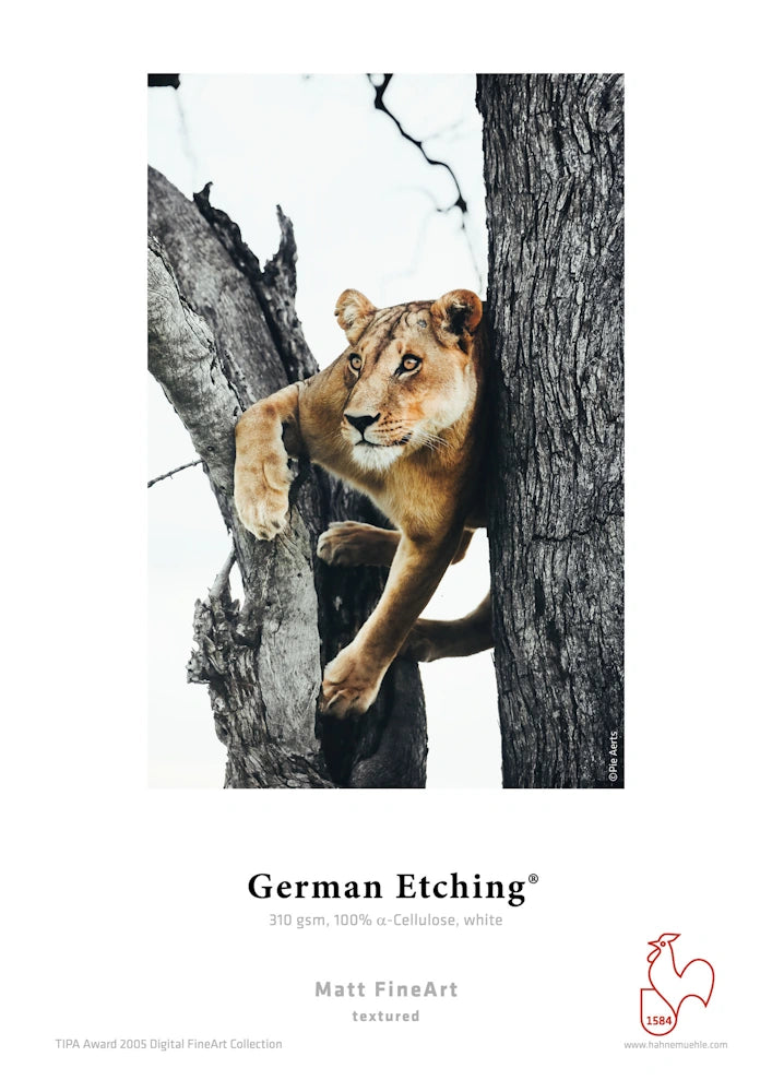 Hahnemühle German Etching 310 gsm