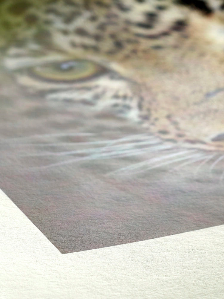 Hahnemühle Bamboo 290 gsm
