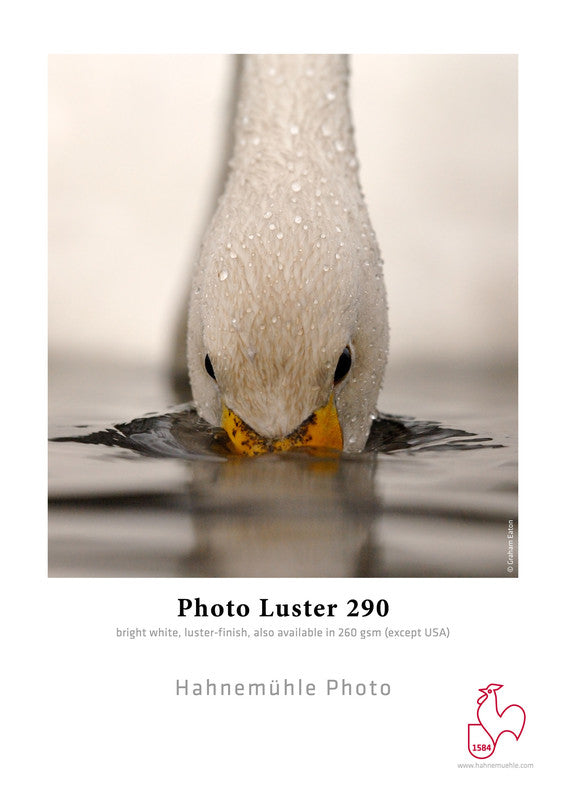 Hahnemühle Photo Luster 290 gsm