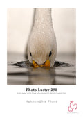 Hahnemühle Photo Luster 290 gsm