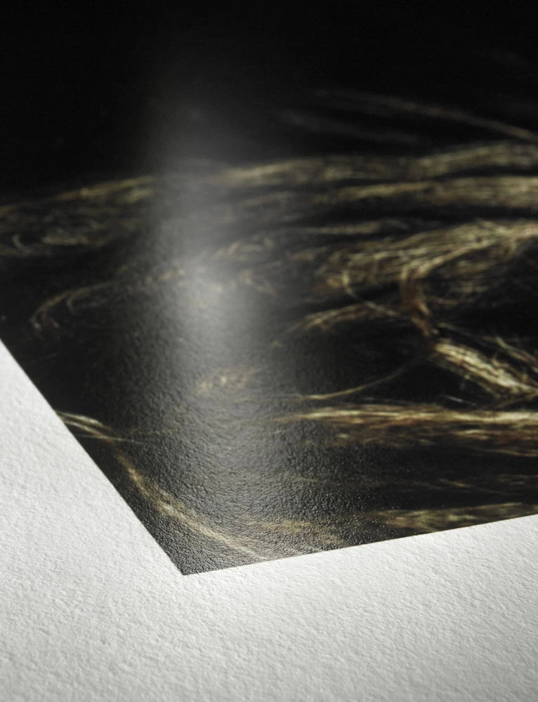 Hahnemühle Sample Pack / Muster Glossy FinArt